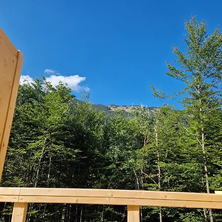 Airwood Glamping *
