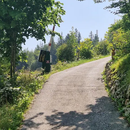 Airwood Glamping