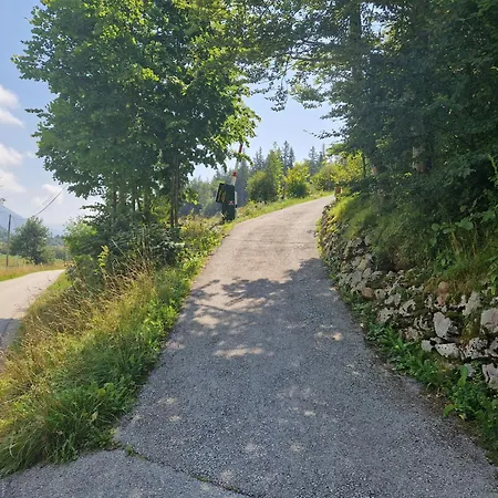 Airwood Glamping 木屋 *