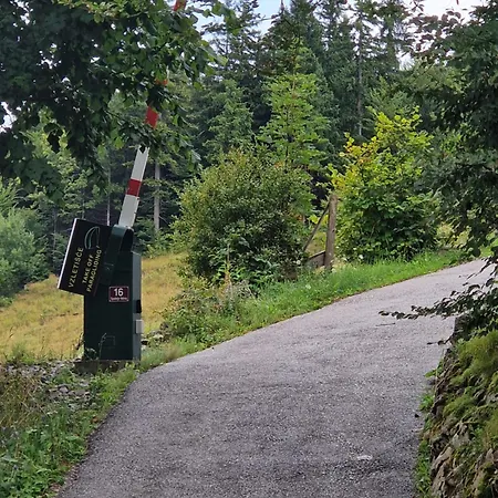 Airwood Glamping Križe