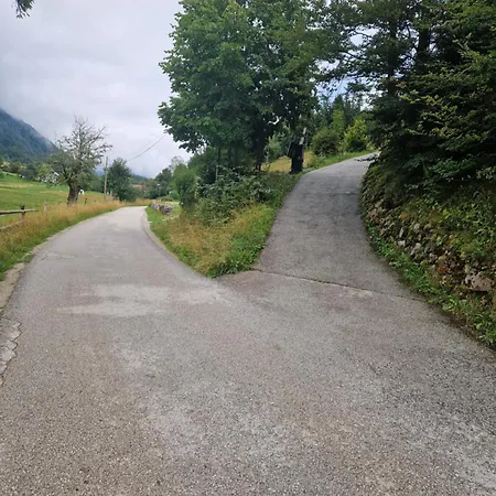 Airwood Glamping 木屋 Križe