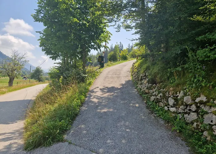 Airwood Glamping Chalé *