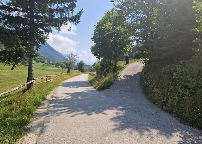 Chalet Airwood Glamping